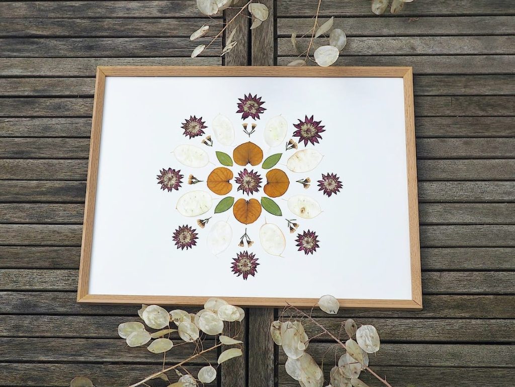 Grand herbier en fleurs pressées format A3 composition mandala symétrique encadré chêne — Mes Petites Fleurs d'Auvergne